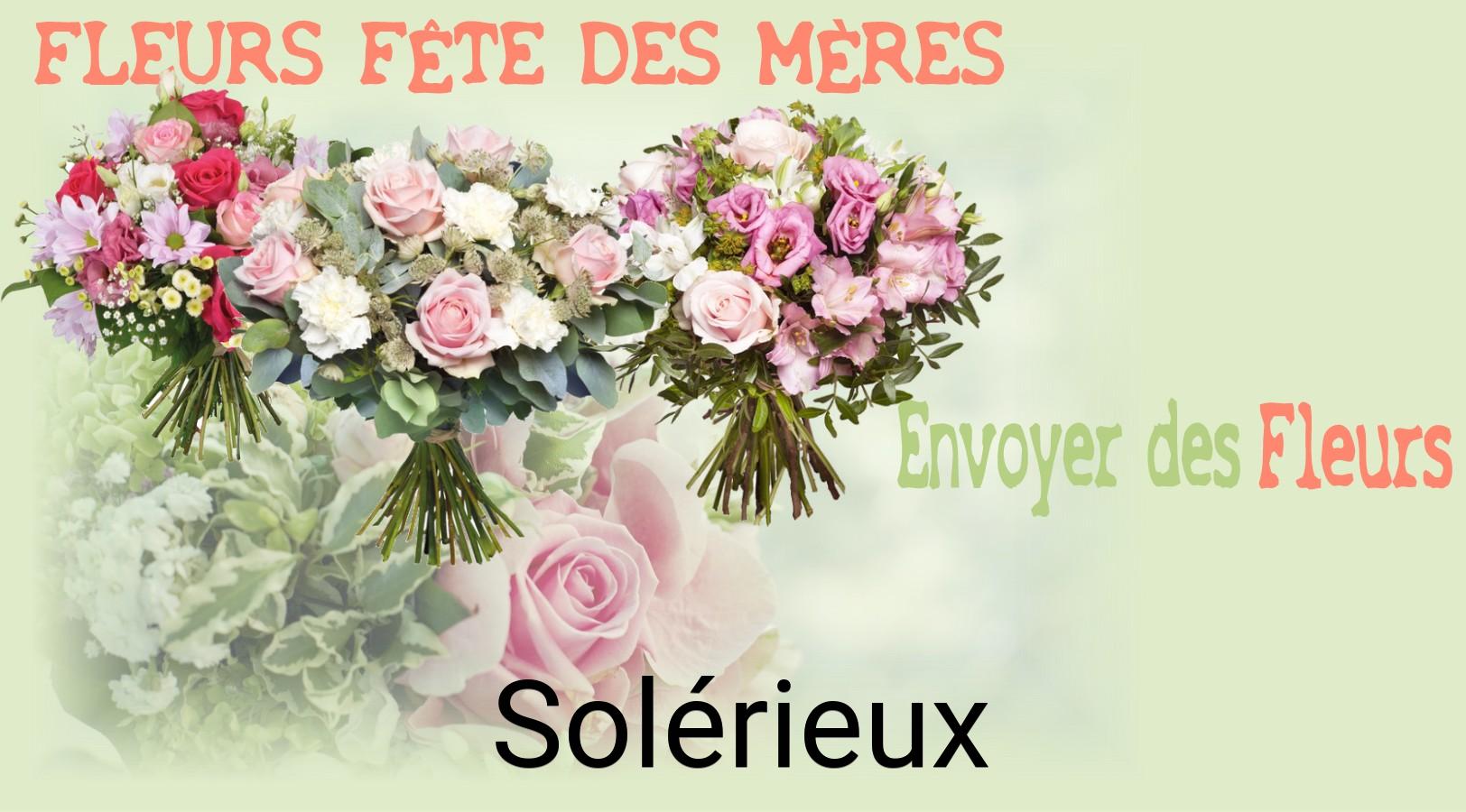 Bouquet de Fête des Mères livré à Solérieux